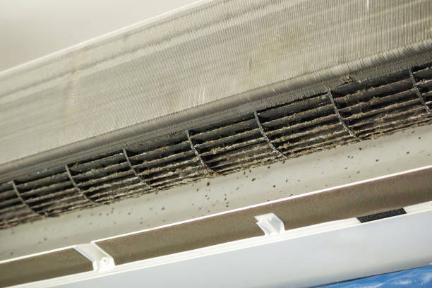 Best Professional Duct Cleaning Services  in Country Walk, FL